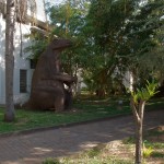 Maputo - Jardin du Musée d'Histoire Naturelle