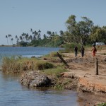 Marracuene - Rives du fleuve Nkomati