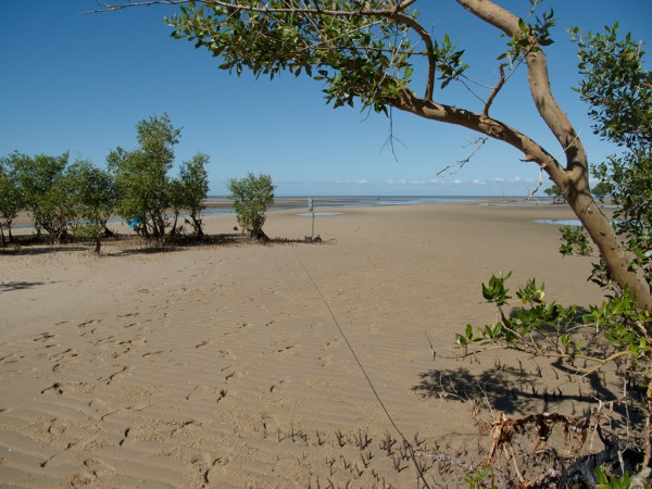 La République des enfants - USM 69 et mangrove