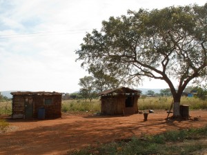 La République des enfants - Habitation Impaputo