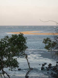 Costa do Sol - Mangrove