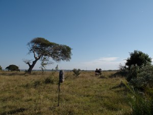 La République des enfants - Savane et USM 69