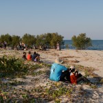 La République des enfants - Mangrove